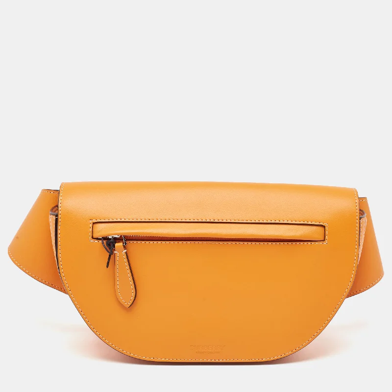 Color - Blocked Burberry Bags for a Bold StatementOrange Leather Small Olympia Bumbag