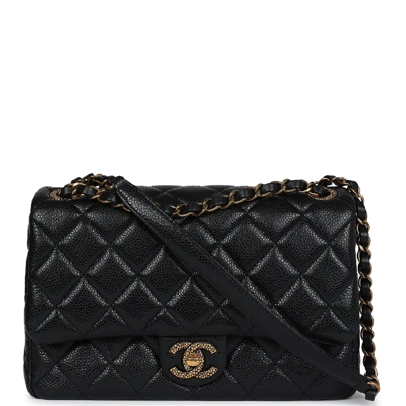 Chanel Quilted Leather Shoulder Bag for FashionistasChanel Small Flap Bag Black Caviar Gold Hardware